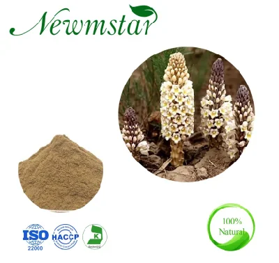 Cistanche Tubulosa Extract 10: 1 Herba Cistanche Extract Desertliving Cistanche Herb Extract Enhance Sexual Function