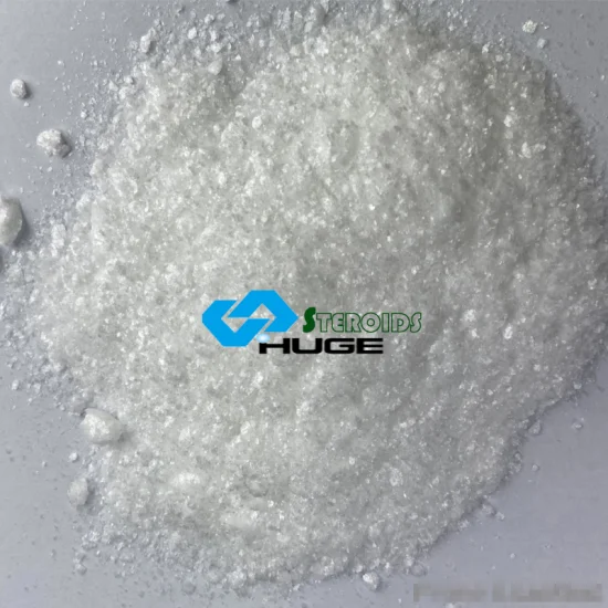 Nootropics Citicoline (CDPC) Raw Powder Cdp-Choline Powder CAS 987-78-0 with Factory Price