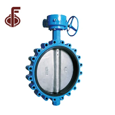 Hot Selling Ss Stainless Steel Worm Gear Bare Shaft Pn10 Pn16 Drilling Full Lugged Type API/ANSI/DIN/JIS Butterfly Control Valves with Slim Disc Two Shaft