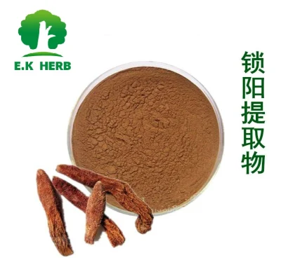 E. K Herb Factory 12 Years Supply Enhance Men′ S Sexual Function Plant Extract Cynomorium Songaricum Extract 10: 1 10% Alkaloids Cynomorium Extract